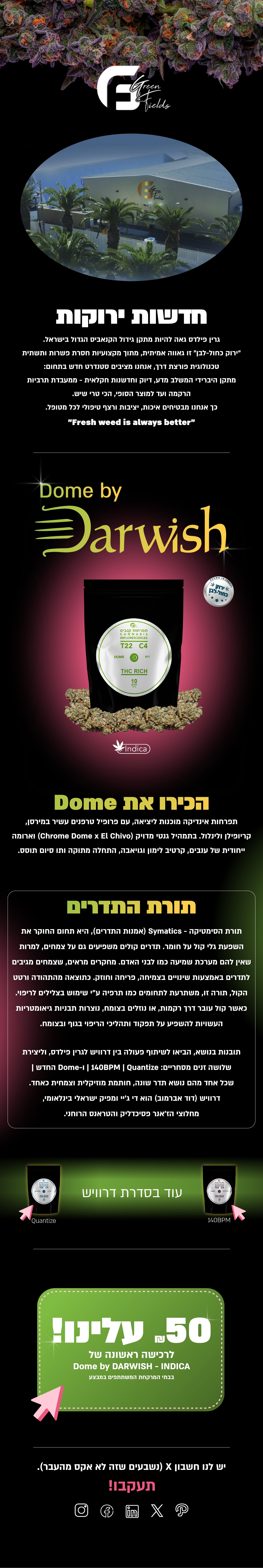 ניוזלטר נובמבר